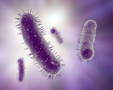 Estudo mostrou diferenças entre as bactérias intestinais de crianças autistas e não autistas <p>Estudo mostrou diferenças entre as bactérias intestinais de crianças autistas e não autistas</p>