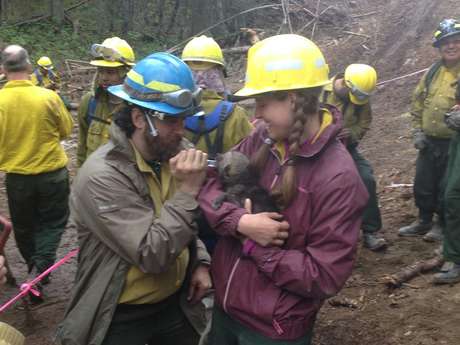 Bombeiros e membros da equipe que trabalha na reserva Kenai National Wildlife Refuge prestam os primeiros socorros aos filhotes abandonados <p>Bombeiros e membros da equipe que trabalha na reserva Kenai National Wildlife Refuge prestam os primeiros socorros aos filhotes abandonados</p>