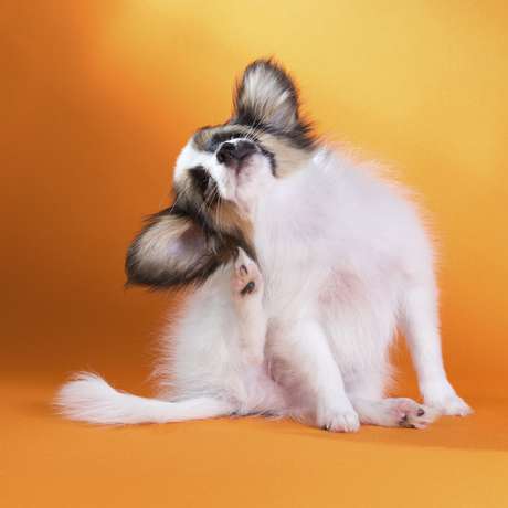 Laures / Getty Images