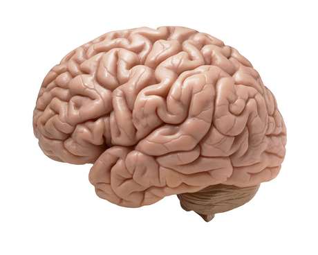 Máquina possui uma espécie de "cérebro eletrônico" que decifra mensagens enviadas por ondas cerebrais humanas <p>Máquina possui uma espécie de "cérebro eletrônico" que decifra mensagens enviadas por ondas cerebrais humanas</p>