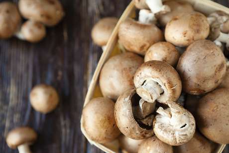O umami é descrito como agradável sabor salgado, presente em alimentos como os cogumelos <p>O umami é descrito como agradável sabor salgado, presente em alimentos como os cogumelos</p>