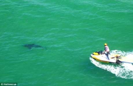 Tubarão branco que atacou Paul foi visto na praia australiana (em imagem) <p>Tubarão branco que atacou Paul foi visto na praia australiana (em imagem)</p>