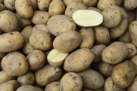 Colombiana usou uma batata como método contraceptivo Colombiana usou uma batata como método contraceptivo