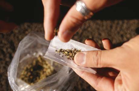 Crises de abstinência de maconha podem causar quadros de ansiedade, insônia, distúrbios de apetite e depressão <p>Crises de abstinência de maconha podem causar quadros de ansiedade, insônia, distúrbios de apetite e depressão</p>