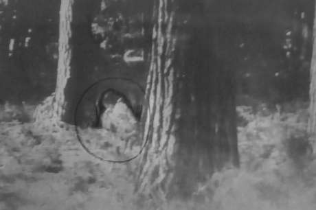 A imagem tirada pelo casal revelaria o fantasma em um parque da cidade A imagem tirada pelo casal revelaria o fantasma em um parque da cidade