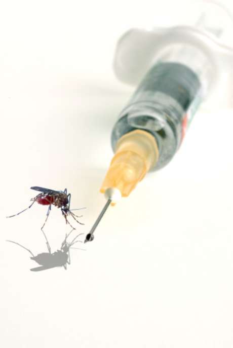 Casos da febre chikungunya aparecem na França <p>Casos da febre chikungunya aparecem na França</p>