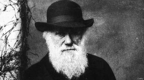 Data foi escolhida em homenagem à data do nascimento do naturalista britânico Charles Darwin <p>Data foi escolhida em homenagem à data do nascimento do naturalista britânico Charles Darwin</p>