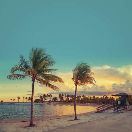Get Florida arte parede praia For Free