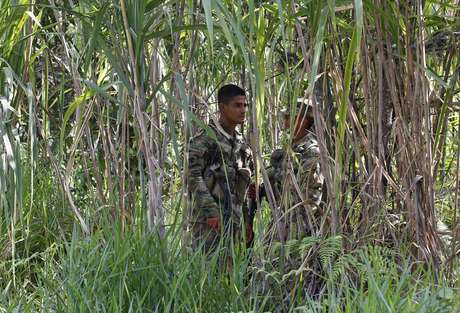 Farc e governo colombiano tentam fechar acordo de paz Farc e governo colombiano tentam fechar acordo de paz