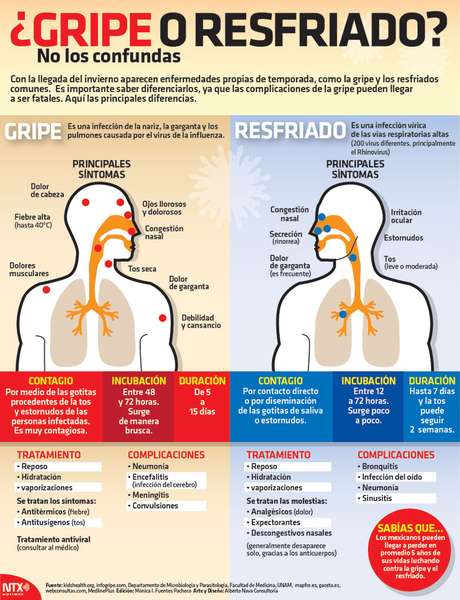 Infografía Síntomas Y Diferencias Entre Gripe Y Resfriado 8388