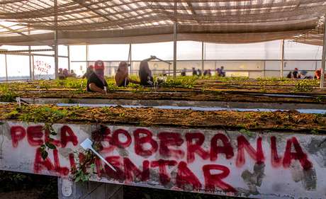 Militantes na área de pesquisa da Suzano Celulose <p>Militantes na área de pesquisa da Suzano Celulose </p>