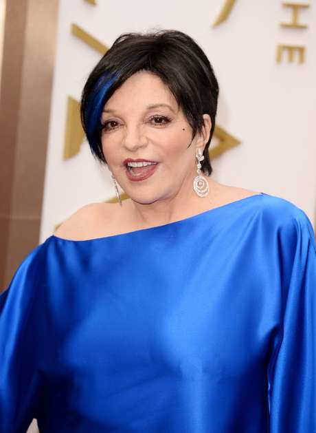 liza minelli rehab liza minelli rehab