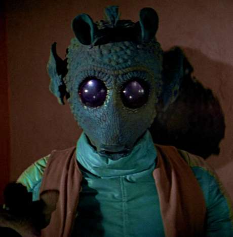 Peixe recebeu o nome por ser semelhante ao personagem da saga Star Wars Peixe recebeu o nome por ser semelhante ao personagem da saga Star Wars
