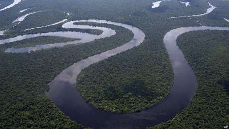 América do Sul é uma das regiões onde risco de extinção devido a alterações climáticas é maior América do Sul é uma das regiões onde risco de extinção devido a alterações climáticas é maior