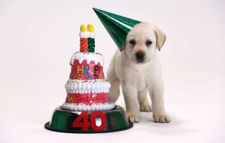 Muito legal você querer homenagear seu cachorrinho. Mas talvez usar o nome dele como sua principal senha não seja a melhor homenagem... Muito legal você querer homenagear seu cachorrinho. Mas talvez usar o nome dele como sua principal senha não seja a melhor homenagem...