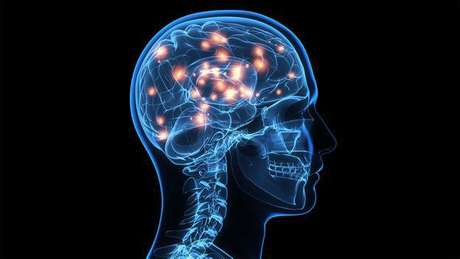 Pesquisador alerta para o uso que as empresas estao fazendo do chamado neuromarketing