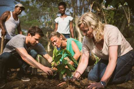Entre atividades, passageiros ajudarão em plantações de cacau Entre atividades, passageiros ajudarão em plantações de cacau