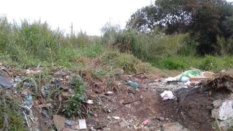 Mato e lixo acumulados no terreno podem gerar multa para o proprietário Mato e lixo acumulados no terreno podem gerar multa para o proprietário