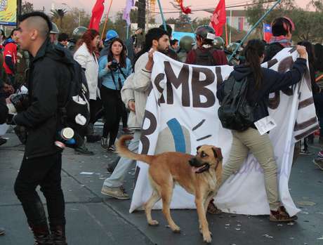 Cachorros vivem soltos em Santiago: capital chilena &eacute; a capital dos c&atilde;es sem dono pelo mundo. Mas, em geral, eles s&atilde;o simp&aacute;ticos