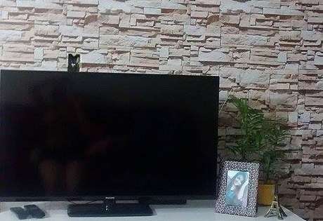 Papel e Parede / Divulgação