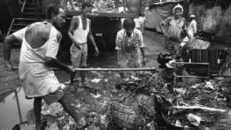 O material que esses trabalhadores removem inclui carcaças de animais, restos de comida, fios de aço, lixo hospitalar, pedaços pontiagudos de vigas de madeira, pedras, vidro quebrado e até lâminas O material que esses trabalhadores removem inclui carcaças de animais, restos de comida, fios de aço, lixo hospitalar, pedaços pontiagudos de vigas de madeira, pedras, vidro quebrado e até lâminas