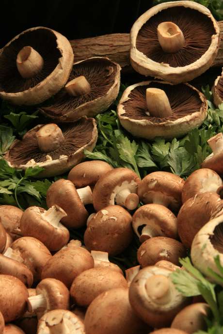 Governo discute alimentação saudável e Idec articulou a garantia dos direitos do consumidor para a proteção de políticas públicas na área de alimentação e nutrição Governo discute alimentação saudável e Idec articulou a garantia dos direitos do consumidor para a proteção de políticas públicas na área de alimentação e nutrição