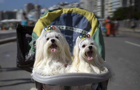 Los animales también celebran su propio carnaval en la playa de Copacabana, en Rio de Janeiro