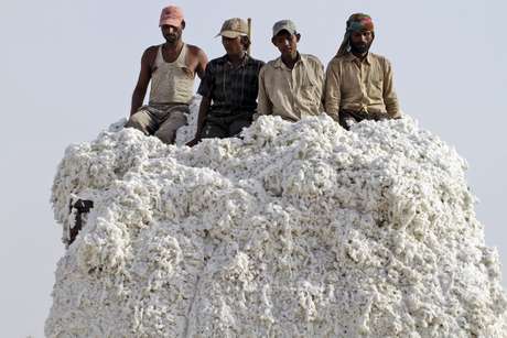 ARCHIVO - En esta imagen de archivo del 30 de abril de 2012, trabajadores indios descargan algodón de un camión en una instalación cerca de Kadi, unos 55 kilómetros de Ahmadabad, India.