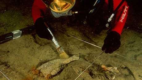Encontrar esses objetos foi resultado de um trabalho árduo. Na imagem, um arquólogo marinho usa uma escova para limpar uma estátua coberta pela areia. A maior descoberta da equipe é que, sob o mar, não há apenas tesouros, mas também história. 