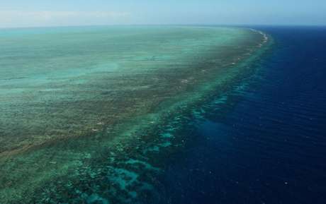 La Gran Barrera de Coral, el ser vivo más grande del mundo, ha perdido el 35% de su superficie debido al cambio climático
