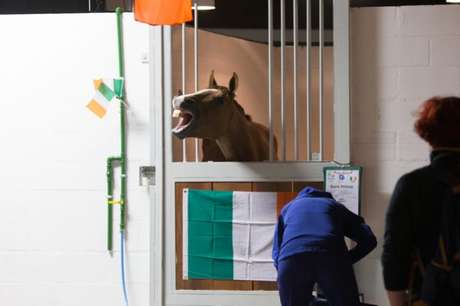 Atletas equinos foram muito bem tratados na viagem de vinda ao Rio (Foto Rio 2016  Gabriel Nascimento)