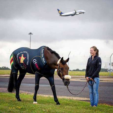 Cavaleiros só podem competir com um cavalo Cavaleiros só podem competir com um cavalo