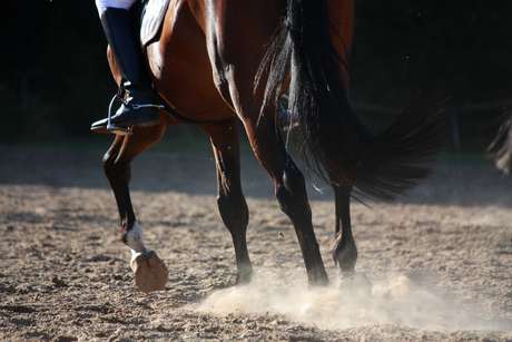 Mesmo com um cavalo cego de um olho, Justo Botelho Santiago se classificou na prova de equitação Mesmo com um cavalo cego de um olho, Justo Botelho Santiago se classificou na prova de equitação