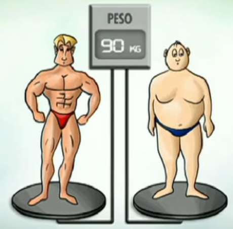como ganhar massa magra e perder peso como ganhar massa magra e perder peso