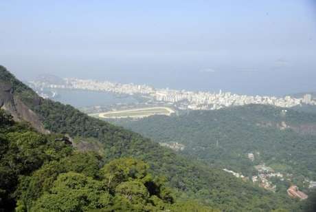 A Mata Atlântica está distribuída por 17 estados: Rio Grande do Sul, Santa Catarina, Paraná, São Paulo, Goiás, Mato Grosso do Sul, Rio de Janeiro (foto), Minas Gerais, Espírito Santo, Bahia, Alagoas, Sergipe, Paraíba, Pernambuco, Rio Grande do Norte, Ceará e Piauí