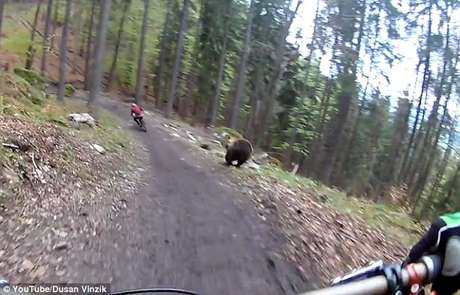 Ciclista vive momentos de terror al ser perseguido por un oso — Viral