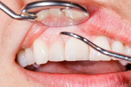 Ocskay Bence / Shutterstock.com