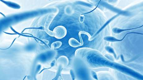 Os compostos impediram a movimentação mais vigorosa dos espermatozoides