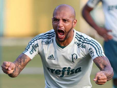 Felipe Melo disse que vai se reapresentar nesta terça-feira - Foto: Cesar Greco/Palmeiras