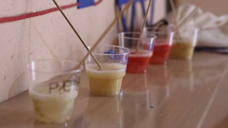 BBCBrasil.com Experimentos de extração de DNA