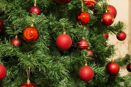 As bolas colocadas nos pinheiros de Natal representam os frutos da vida humana e seus desejos, tais como amor, esperança, perdão e alegria. 