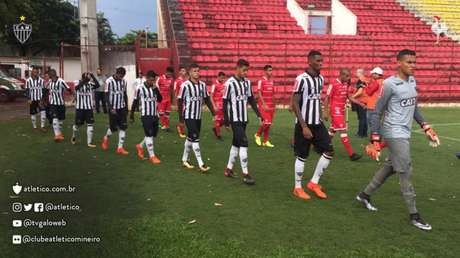 Divulgação Galo Divulgação Galo