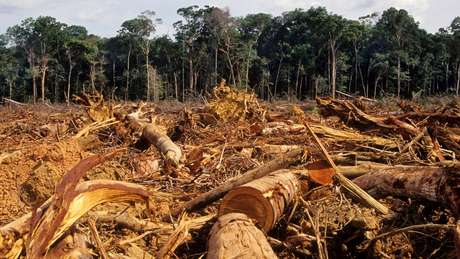 Getty Images / BBCBrasil.com Brasil reduziu em 83% a taxa de desmatamento entre 2004 e 2012, mas, desde então, a área desmatada voltou a crescer