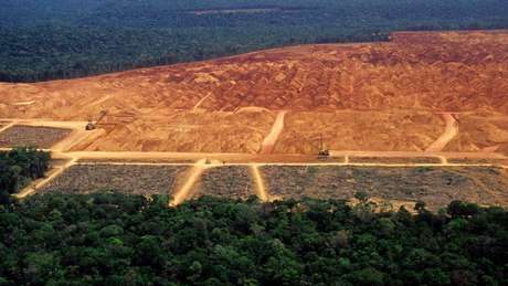 Getty Images / BBCBrasil.com Financial Times cita relatório da CGU que indicou redução de 26% no número de fiscais do Ibama no país