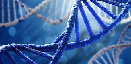 Cientistas italianos descobrem 'arma' contra DNA danificado Cientistas italianos descobrem 'arma' contra DNA danificado