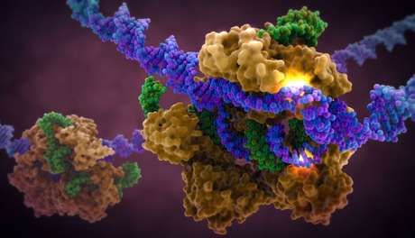 Lentivírus tendo seu material genético traçado pela proteína CAS9