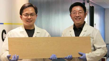 BBCBrasil.com Liangbing Hu e seu colega Teng Li mostrando a supermadeira; pesquisadores a testaram com projéteis semelhantes a balas de revólver | Foto: Universidade de Maryland