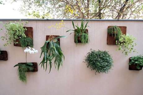 Flores para Jardim: Modelos de Flores e Jardins para ...