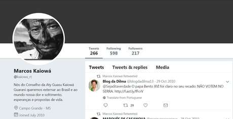 BBCBrasil.com Perfis falsos tinham que representar eleitores com diferentes características | Imagem: Reprodução/Twitter