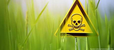 Júri condena Monsanto por não alertar clientes sobre possíveis danos à saúde Júri condena Monsanto por não alertar clientes sobre possíveis danos à saúde